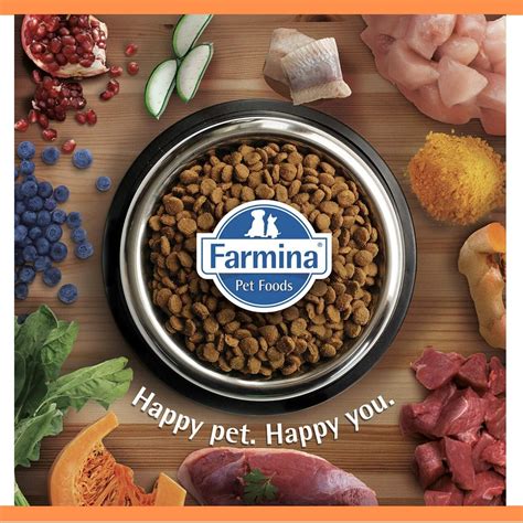 Hill's prescription diet c/d multicare urinary care dry dog food contains nutritional values in crude protein, fat, and fiber: Buy Farmina N&D Lamb and Blueberry Adult Dog Food for Dog ...