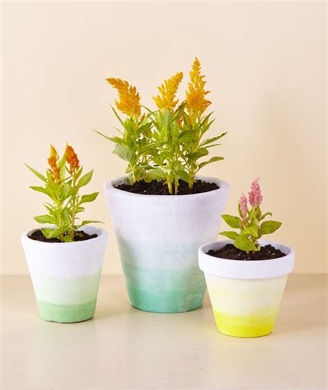 Dip Dyed Terracotta Pots Diy Flower Pots Painted Flower Pots Plant