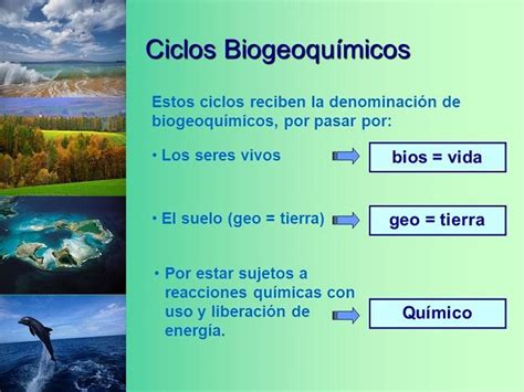 Mapa Conceptual De Los Ciclos Biogeoquimicos Sima