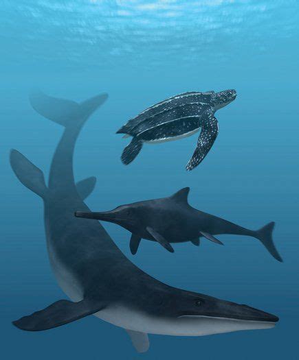 Fossil Sea Reptiles Revealed In Living Color Fossils