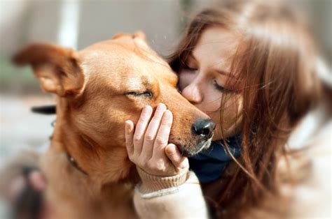 Do Dogs Like Kisses Dog To Man