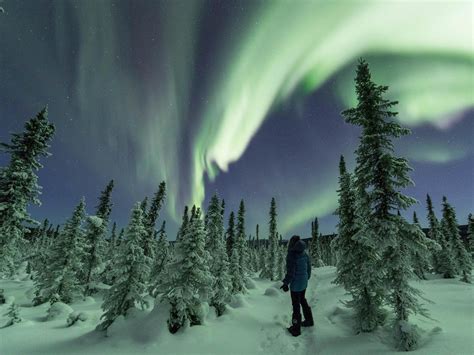 Unparalleled Winter Experiences in the Fairbanks Region | Travel Alaska
