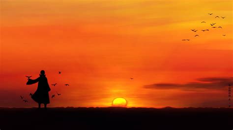 Tapety Slunečnímu Záření Ptactvo Západ Slunce Moře Anime Nebe