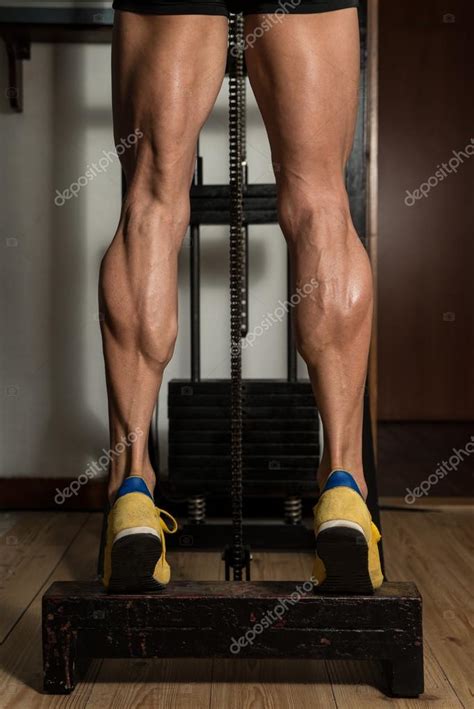 Sporty Legs Calf Stock Photo By ©ibrak 86313098