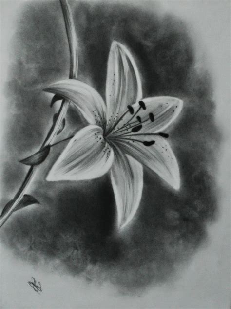 Simple Charcoal Drawing Ideas