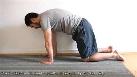 Lumbar Flexion In 4 Point Kneeling YouTube