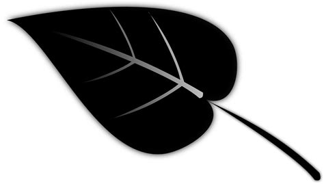 Leaf Plant Silhouette Free Vector Graphic On Pixabay