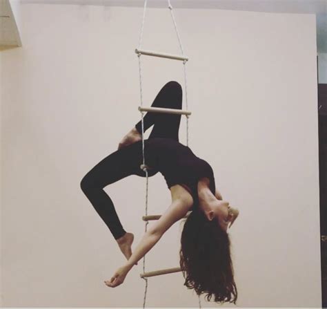Pin By Anita Yussman On Aerial Ladder Skirts Ballet Skirt Ballet