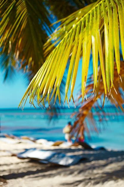 Praia Tropical Do Verão Com Fundo De Mar E Céu Em Folha De Palmeira