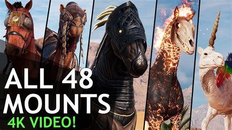 Assassin S Creed Origins All Mounts In 4k 48 Of Them YouTube