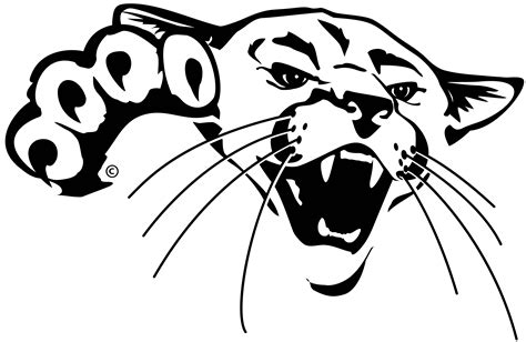 Cougar Head Drawing At Getdrawings Free Download