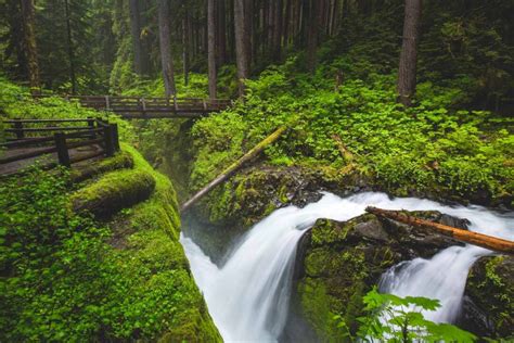 Your Guide To Hiking The Sol Duc Falls Trail Washington Is For Adventure