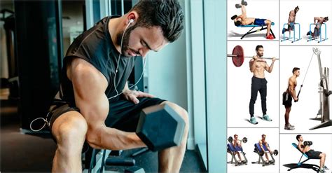 fill your muscle building workout with these 10 biceps and triceps moves
