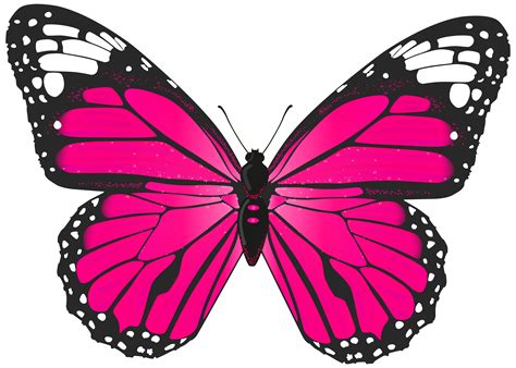 Clipart mùa hè Transparent background pink butterfly clipart Sáng tạo độc đáo