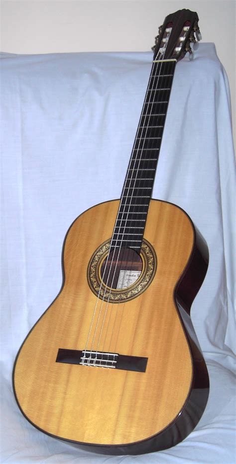 Gary Nava Luthier Instrument Archive Early Classical Guitars