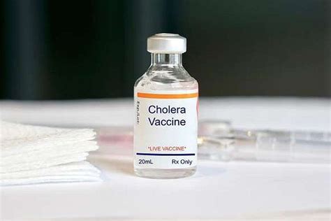 two million doses of oral cholera vaccines arrive in syria caribbean news global