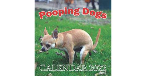 Pooping Dogs Calendar 2022 Lovely Calendar With 12 Months Pooping Dogs