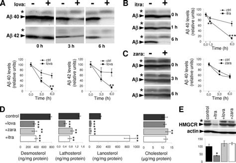 Statins That Penetrate Blood Brain Barrier Telegraph