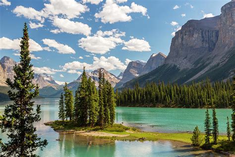 Canada Alberta Jasper National Park Photograph By Jamie