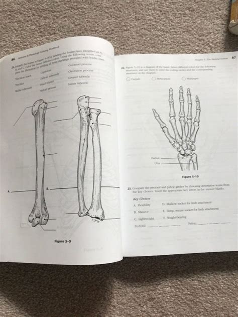 Anatomy And Physiology Coloring Workbook Key