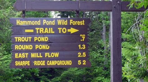 Trout And Round Ponds Adirondack Hub