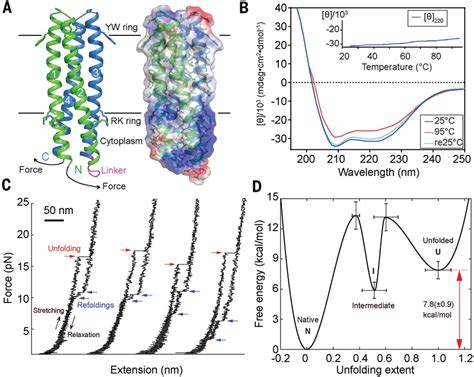 accurate computational design of multipass transmembrane proteins science
