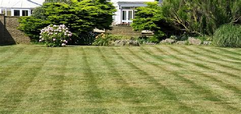 How To Make My Lawn Greener And Thicker 11 Simple Steps
