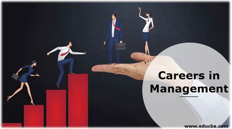 Careers In Management Education And Career Job Position And Salary