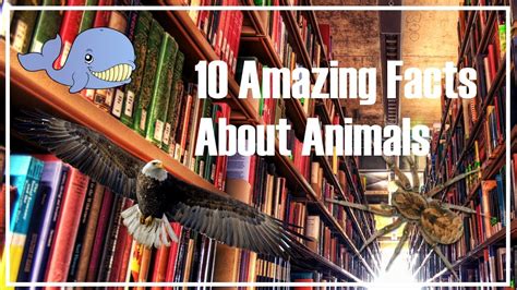 10 Amazing Facts About Animals Youtube