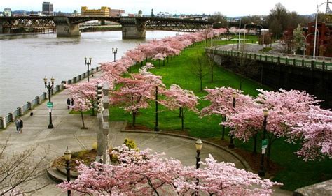 Things to do and city guide for portland, oregon, united states of america. Spring 2017 - Learn More about Fun Things to Do In ...