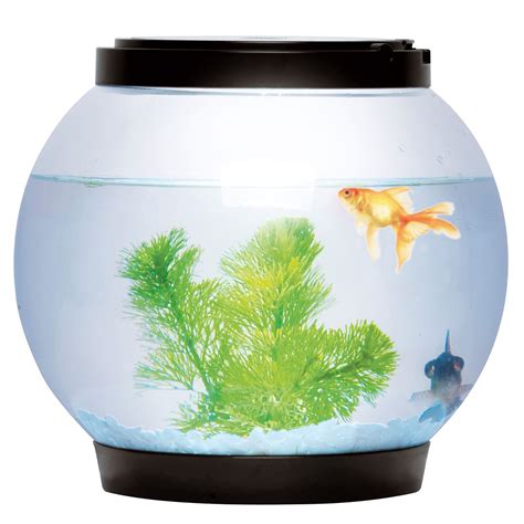 Round Glass Goldfish Fish Bowl Tank With Colour Led Light Up Ebay