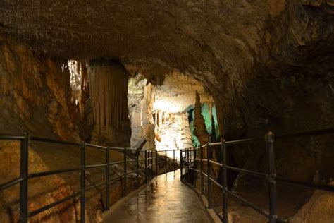 Postojna Cave The Gem Of Slovenian Nature