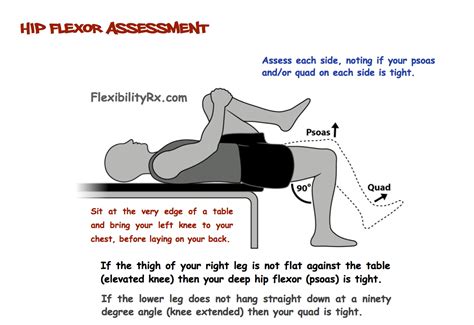 Because many people spend the majority of their work days sitting down. How to stretch the hip flexor muscles used, torn hip ...