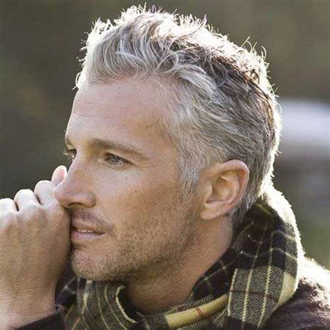 15 Ideas About Hot Silver Foxes Grey Haired Men Atoz Hairstyles