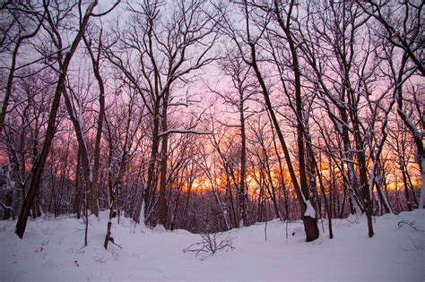 Snowy Forest Sunset This Was The Peaceful Scene A Couple D Flickr