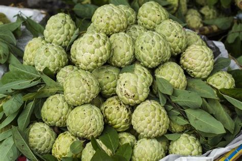 What Are the Health Benefits of Sweetsop? | LIVESTRONG.COM