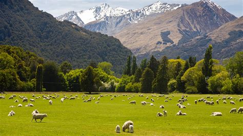 New Zealand Countryside Country Nature Scenery Wallpaper Preview