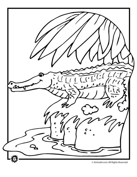 All rights belong to their respective owners. Alligators and crocodiles coloring pages download and ...