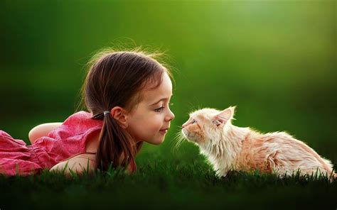 Download Cat Grass Cute Little Girl Photography Child Cute Cat Hd Wallpaper