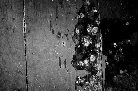 Free Photo Dark Stained Wall Dark Gloomy Grunge Free Download