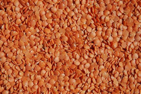 Free Stock Photos Rgbstock Free Stock Images Lentils Texture