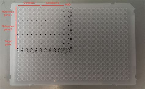 ロイヤリティフリー 96 Well Plate Layout Template はがととめ