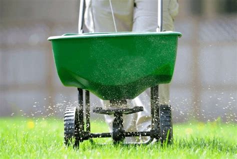 What Is The Best Time Of Day To Fertilize Lawn
