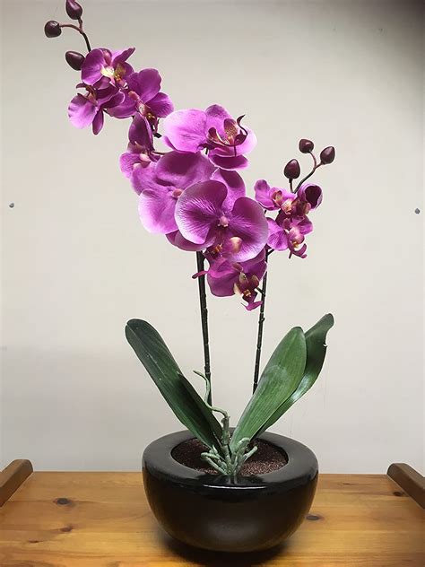 Home And Kitchen House Office Or Indoor Use Uk Gardens Large Pink Orchid