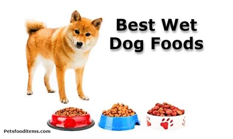 Best Wet Dog Foods Pets Food Items