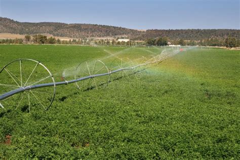 Wheel Line Irrigation System Stock Image Image Of Irrigation Pipes
