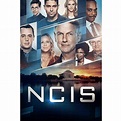 NCIS: Naval Criminal Investigative Service: The Seventeenth Season (DVD ...