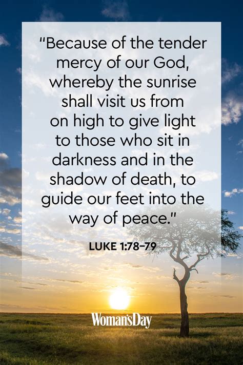 Scripture For Peace And Comfort Comfort