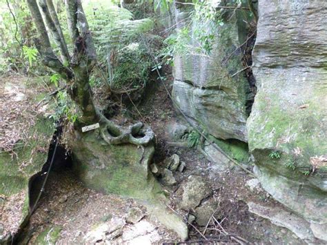 Kawiti Caves Kawakawa 2022 Lo Que Se Debe Saber Antes De Viajar