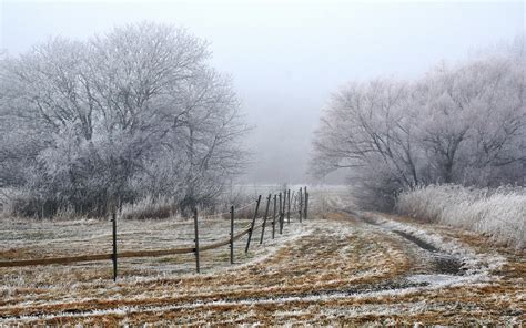 46 Snowy Fields Wallpapers Wallpapersafari